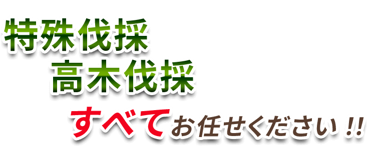特殊伐採・高木伐採　すべてお任せください!!補助金に関するご相談も可能です！！